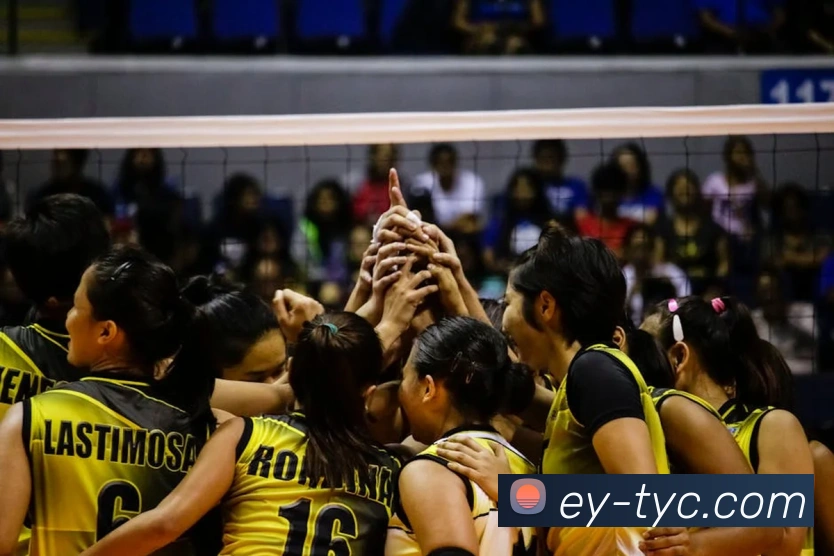 App Interface Preview